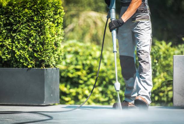 Best Pool Deck Cleaning  in Mojave, CA