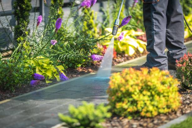 Best Winterizing Services  in Mojave, CA