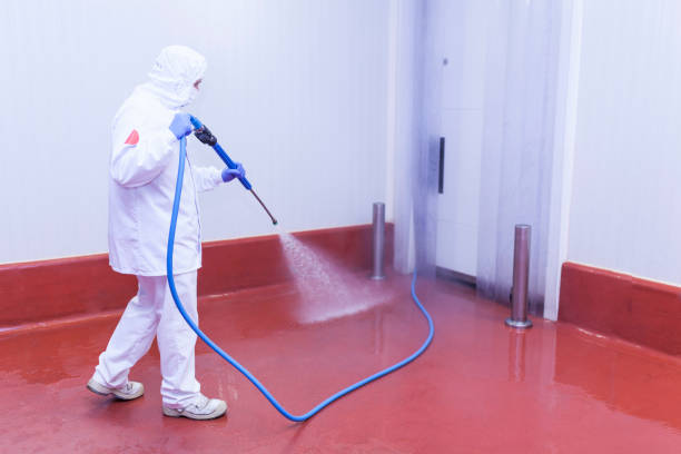 Best Sidewalk and Walkway Cleaning  in Mojave, CA