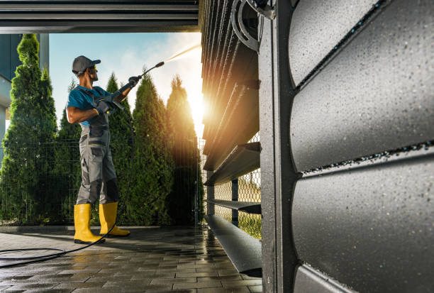Best Graffiti Removal  in Mojave, CA